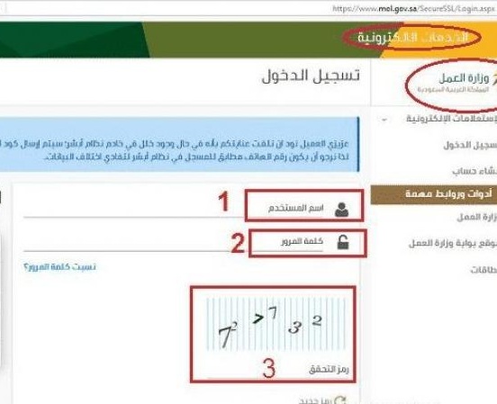 استعلام عن طلب نقل كفالة في الجوازات برقم الاقامة ورقم الطلب