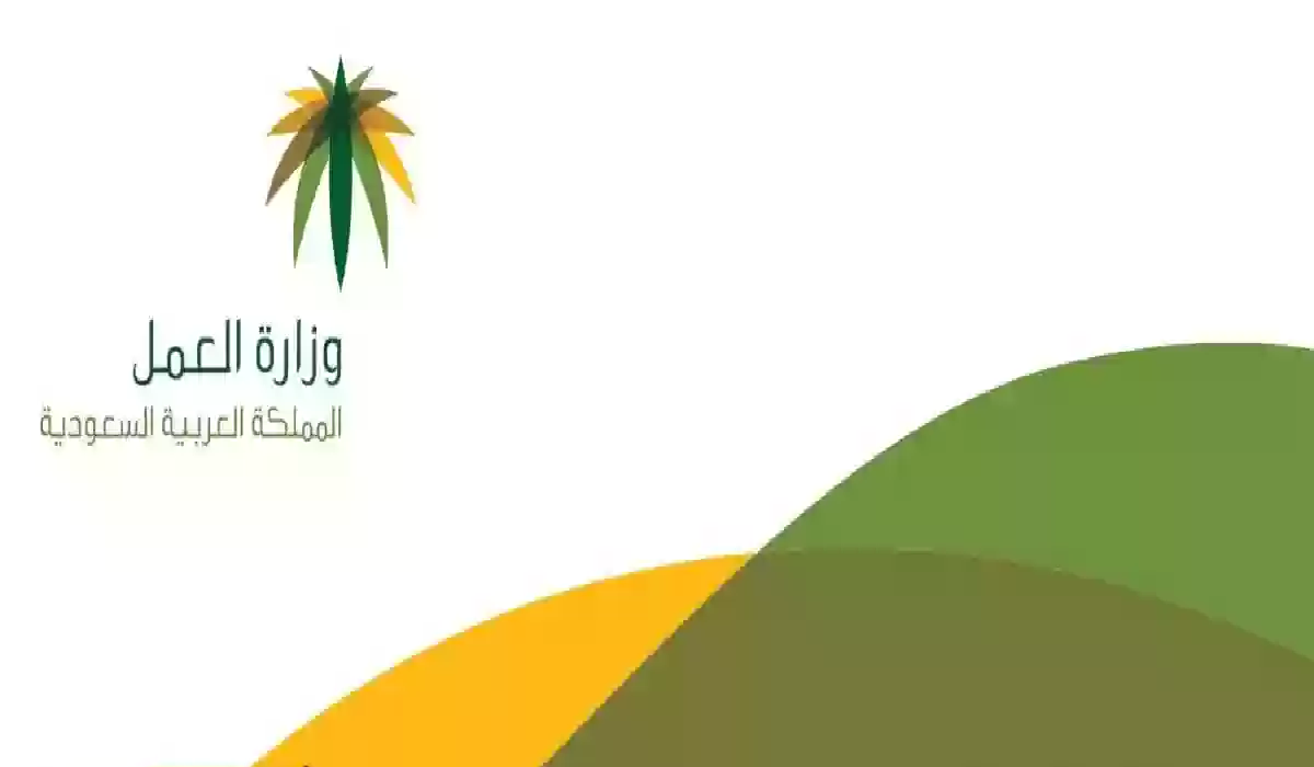 طريق معرفة رقم التأمينات