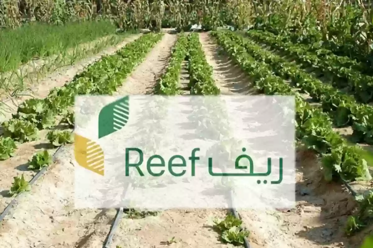 دعم ريف للعاطلين عن العمل