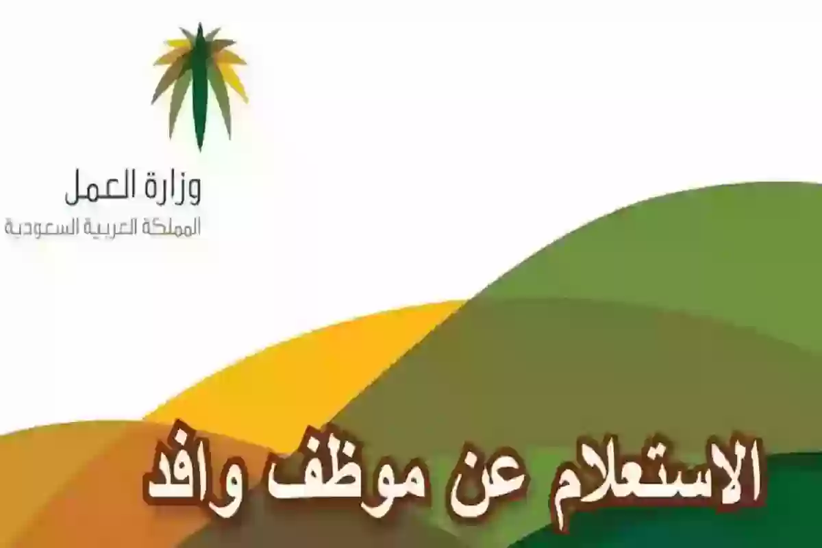 الاستعلام عن وافد إلكترونيًا برقمي الإقامة والحدود