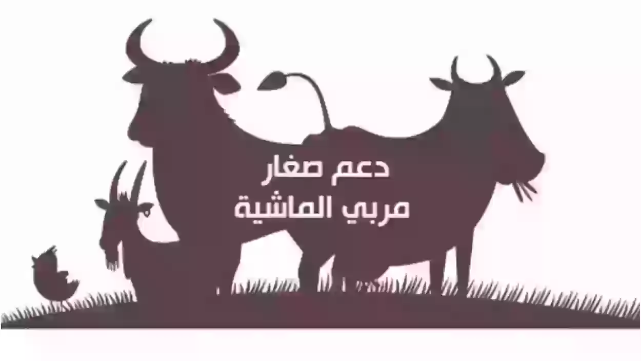 كيف اعرف اني مستحق دعم المواشي