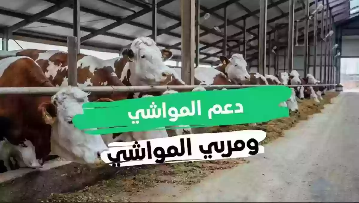 رابط الاستعلام عن دعم المواشي 1445 عبر النفاذ الوطني