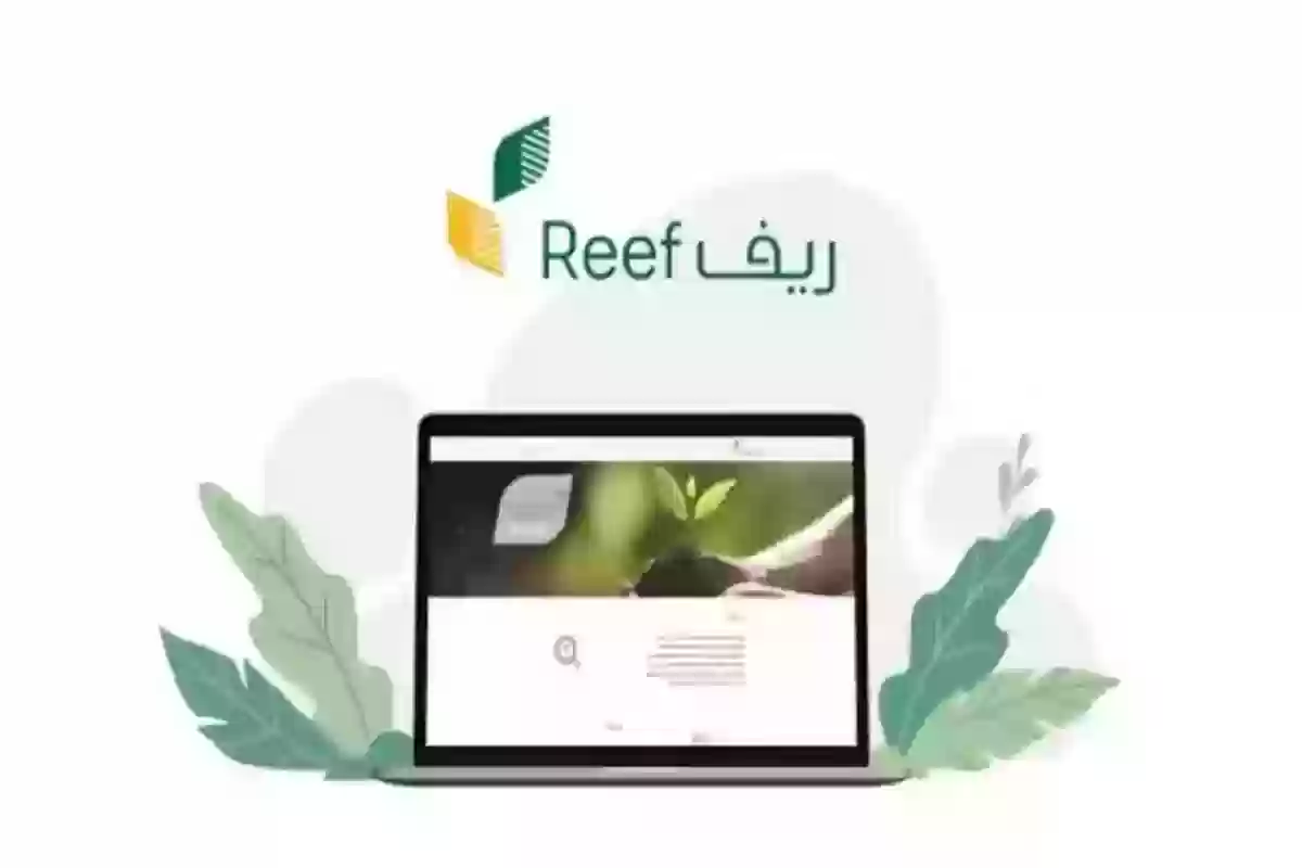 التسجيل في برنامج ريف