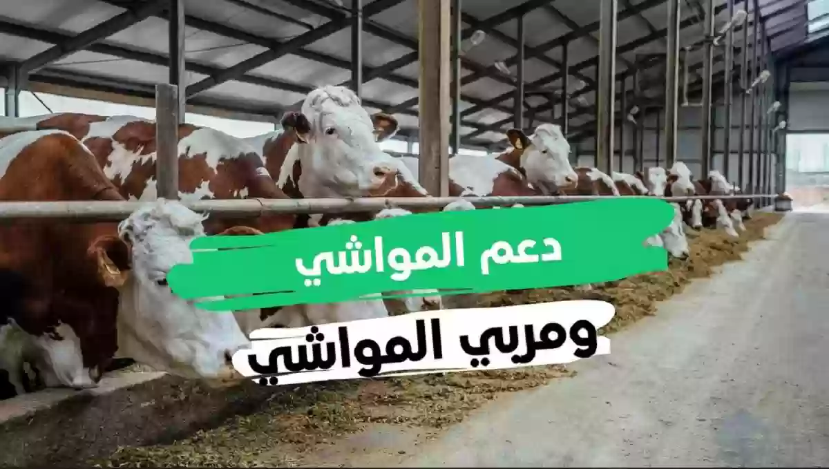 استعلام عن دعم المواشي عن طريق النفاذ الوطني