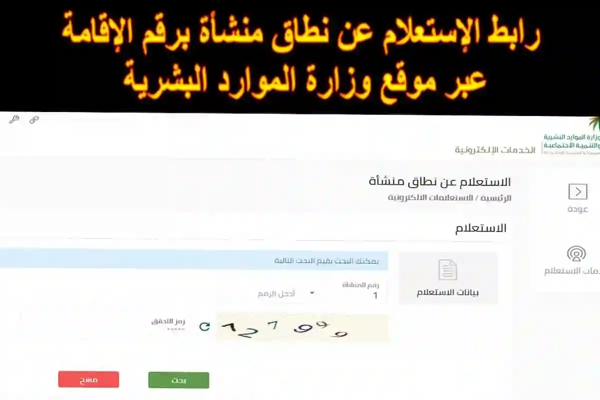  الاستعلام عن نطاق منشأة