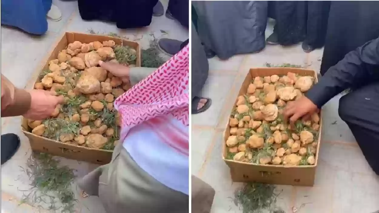 طفل صغير يعرض كرتون فقع للبيع على الأمير فهد بن نايف