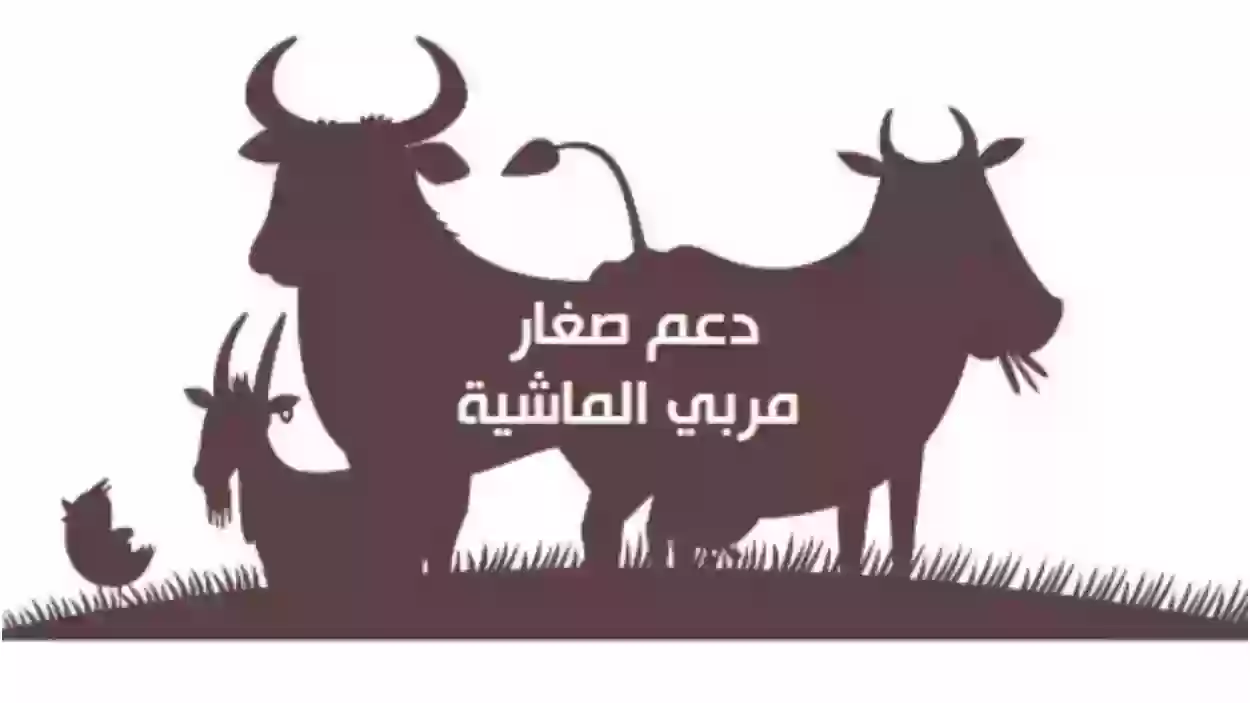 ما هي خطوات الاستعلام عن دعم المواشي النفاذ الوطني 1445