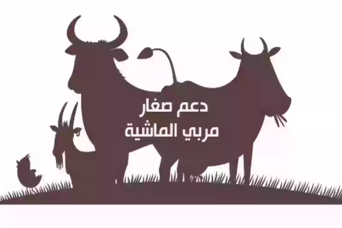 الموعد المحدد لصرف دعم المواشي 1446 شهر ديسمبر