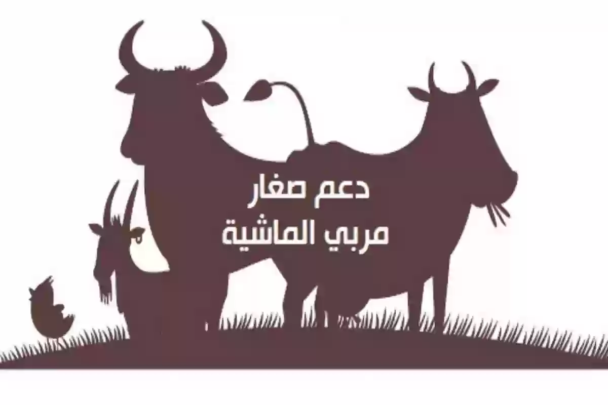 تحديث بيانات دعم مربي المواشي الجديد