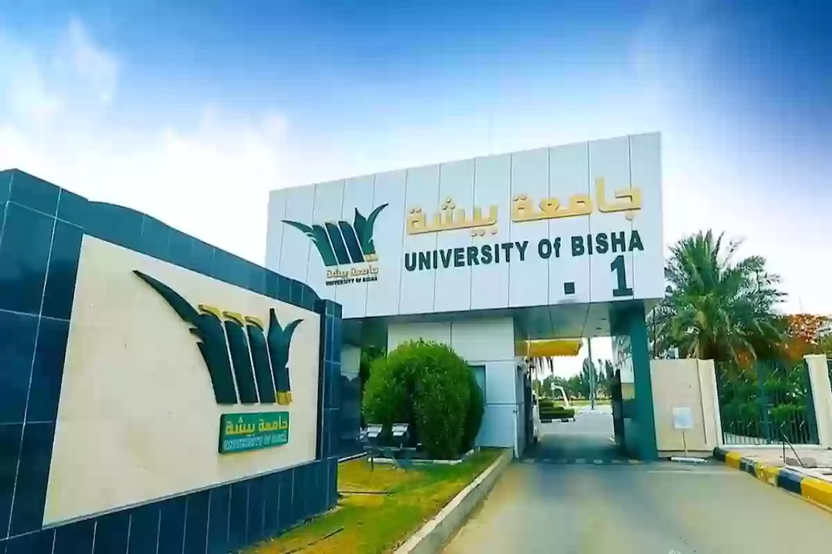 رابط جامعة بيشة الخدمات الإلكترونية - ub.edu.sa