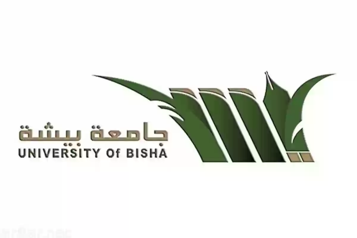 رابط بلاك بورد جامعة بيشه لتسجيل الدخول sso.ub.edu.sa والاستفادة من الخدمات الطلابية 