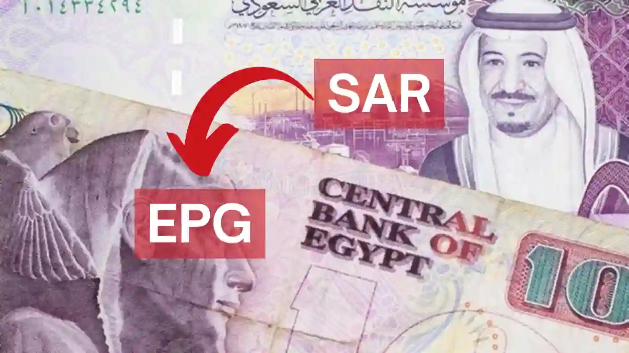 SAR to EGP.. استقرار سعر الريال السعودي مقابل الجنيه المصري اليوم 12 مارس