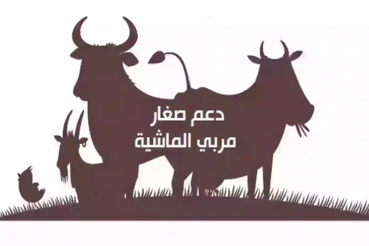 استعلام عن دعم المواشي