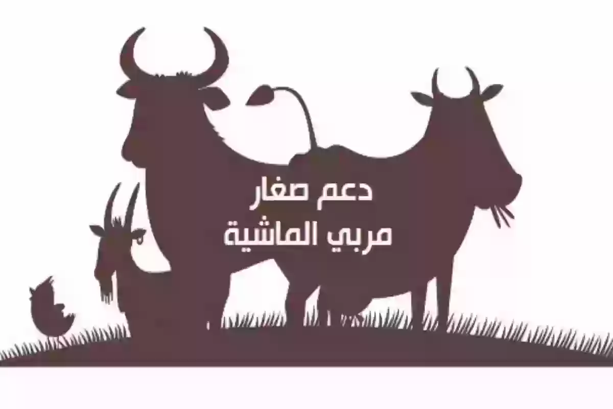 موعد صرف دعم المواشي في السعودية وطريقة الاستعلام عنه 1446