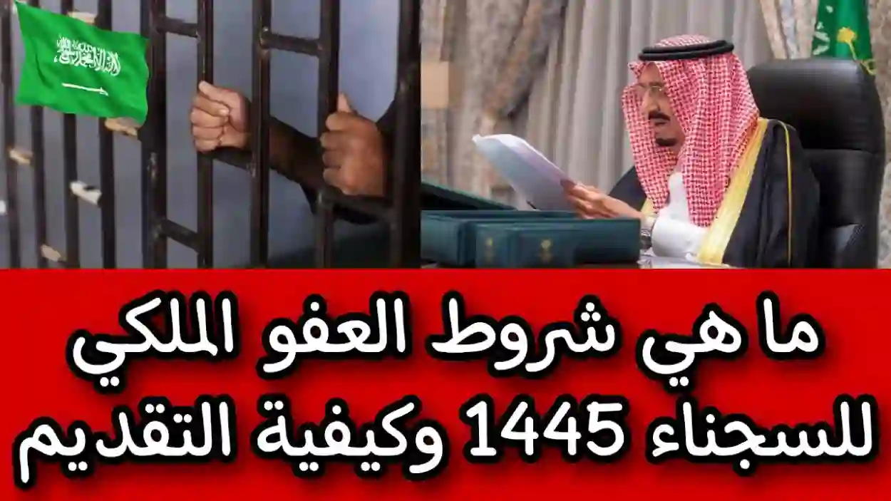 كيف أقدم في العفو الملكي عبر منصة أبشر